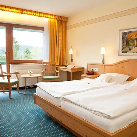 Wald 3* Willingen (Upland)