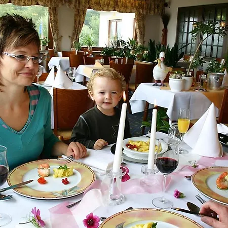 Wald 3* Willingen (Upland)