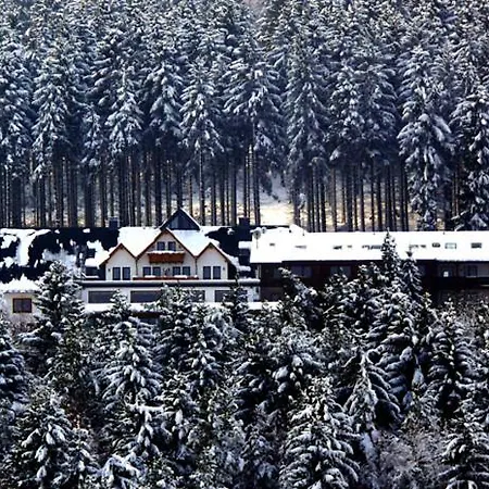 Ξενοδοχείο Wald 3*