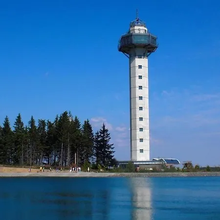 Wald Willingen (Upland)