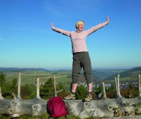 Ξενοδοχείο Wald 3*