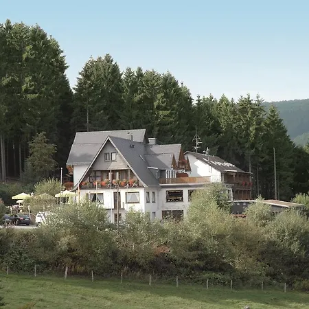 Ξενοδοχείο Wald