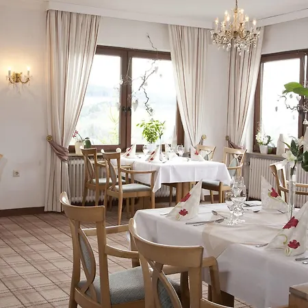 Wald 3* Willingen (Upland)