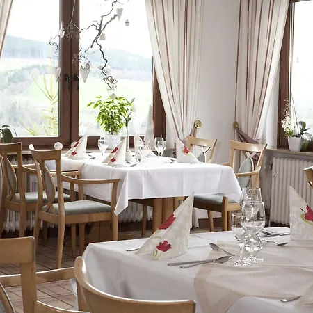 Wald 3* Willingen (Upland)