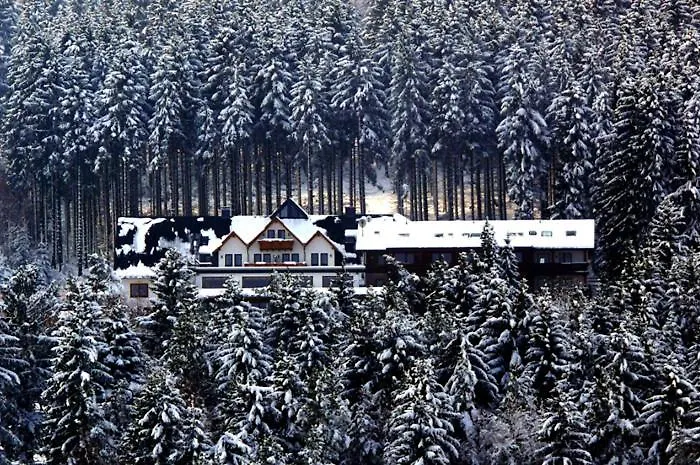 Ξενοδοχείο Wald 3*